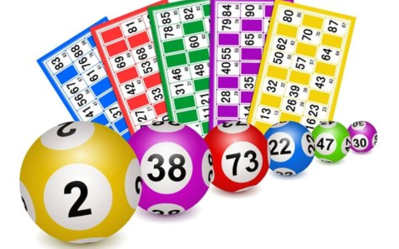 indian lottery chetak at lottery sambad live logo featured image